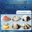 EDIWANY Xịt Nước Clam, Đồ Chơi Chơi Nước Đi Biển Đồ Chơi Xịt Nước Di Động, Mô Phỏng Clam Press-Loại Xịt Nước Đồ Chơi Tricky