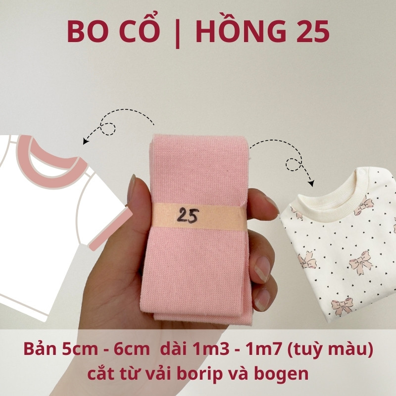 số 25