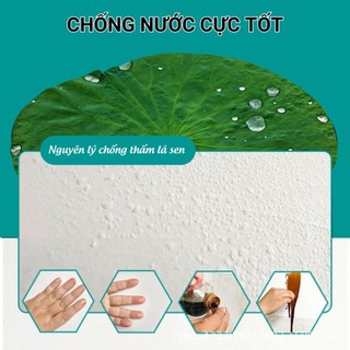 Bình Xịt Sơn Sửa Tường Nhà 1600ML - Làm Sạch Nhanh Tường Bị Vẽ Bẩn, Nấm Mốc,Vết Bẩn Cứng Đầu, Vết Ố Vàng NGÓI HOME ST01