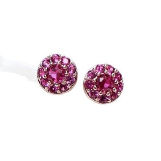 Châu Âu Mỹ ins Phong Cách Mới Đỏ Corundum Bông Tai Nhỏ Nữ