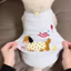 Mới Chống Rơi Thoáng Khí Quần Áo Mèo Dễ Thương Trang Phục Mèo Hoạt Hình Áo Vest
