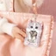 HT3 Dễ Thương Mướp Mèo Sang Trọng IC Thẻ Quà Tặng Cho Bé Gái Túi Mặt Dây Chuyền Móc Khóa Xe Buýt Trường Tàu Điện Ngầm Thẻ Bao Bảo Vệ T