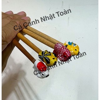 Cây Kè Cá Betta In 3D , Giúp Cá Betta Phồng Mang và Xoè Đuôi Trình Diễn (Dài 28cm)