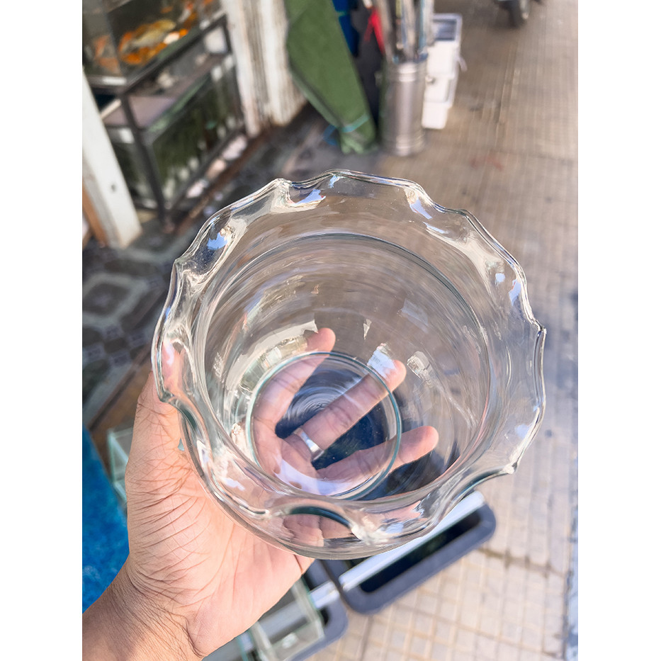 Chậu Thủy Tinh Tròn Mini Cao 13cm, Đường Kính 13cm