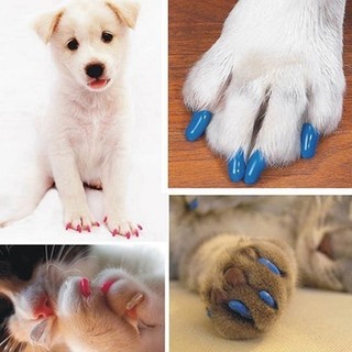 [Baystar] 20 Chiếc Pet Dog Cat Paw Claw Chống Trầy Xước Vỏ Bảo Vệ Móng Tay Silicon Mềm