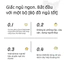 Bộ quần áo bé gái in hình Na Tra & Ao Bính-Set áo thun ngắn tay và quần short thời trang cho trẻ em