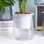 RO > Chậu trồng cây tự tưới cây hai lớp Bình hoa bằng nhựa trong suốt Chậu hoa lười tự động Trang trí chậu hoa thủy canh Mới