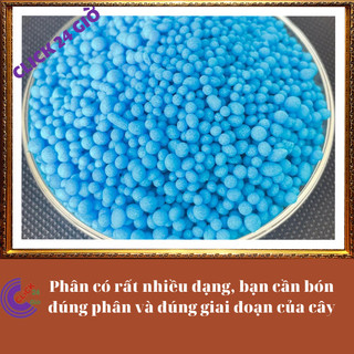 Phân bón NPK 30-10-10 chuyên dùng cho hoa và cây cảnh 🔹 SHOP PP ONLINE CLICK 24 GIỜ