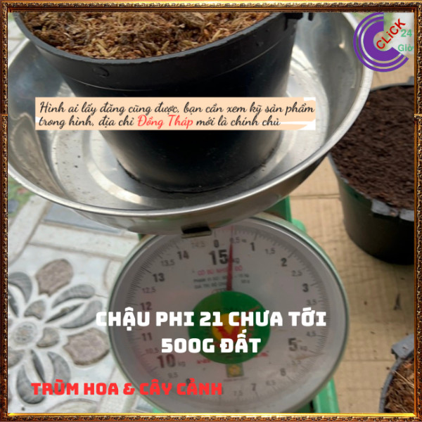 2ký ĐẤT TRỒNG VỎ ĐẬU THOÁT NƯỚC TỐT️💄{{store}