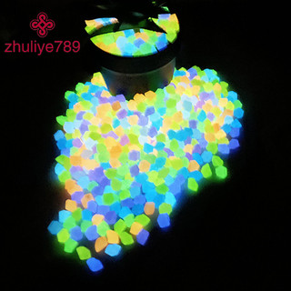 < zhuliye789 > 50 Viên Đá Dạ Quang Ngoài Trời Phát Sáng Trong Khu Vườn Tối Sỏi Trang Trí Cá