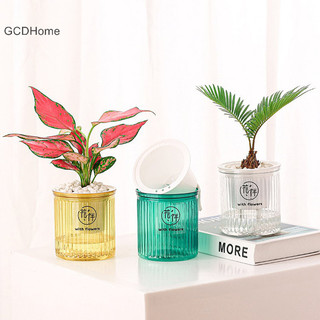 Chậu hoa tự tưới nước Gcdhome Lazy Tự động hấp thụ nước nuôi trồng thủy sản HOT