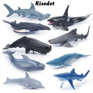 Tượng nhỏ cá voi RISEDOT, động vật biển Cá mập Cachalot mô phỏng sinh vật biển, đồ chơi giáo dục mô hình PVC nhân vật hành động đại dương