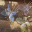 JVSUB Fairy Butterfly Kẹp Tóc, Mũ Nhựa Nhựa, Thời Trang Tua Rua Bướm Phụ Kiện Tóc Nữ