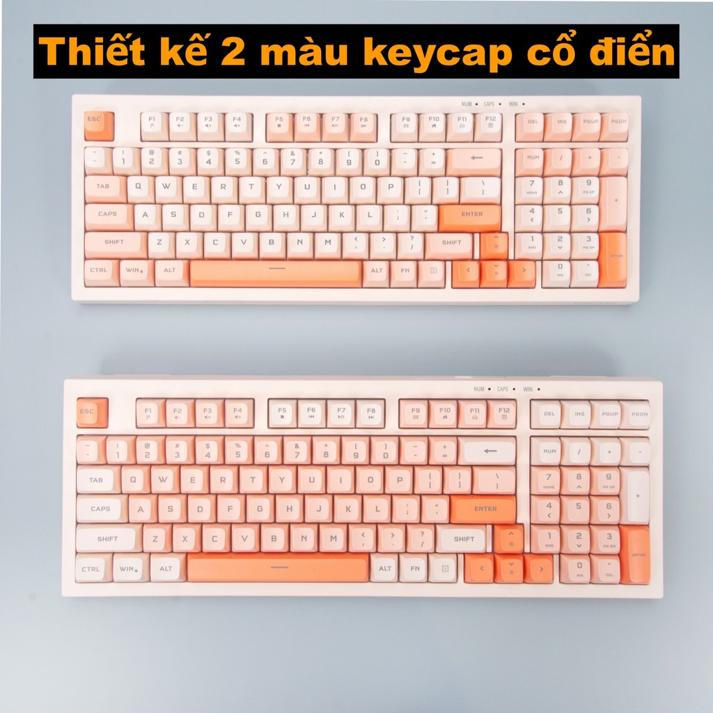 Bàn phím văn phòng P5 Paynan Peachy chống ồn kết nối cáp rời 98 phím đèn led trắng  keycap màu cổ điển | BigBuy360 - bigbuy360.vn