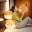 【Bingo】Đồ chơi nhồi bông mô phỏng búp bê cún con dễ thương mềm mại Búp bê chó Shiba Inu co giãn tốt, búp bê gối ngủ hình thú, quà sinh nhật thú vị (0302)