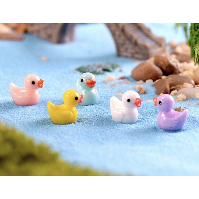 Vịt Con Nghộ Nghĩnh Đáng Yêu - Trang Trí Tiểu Cảnh