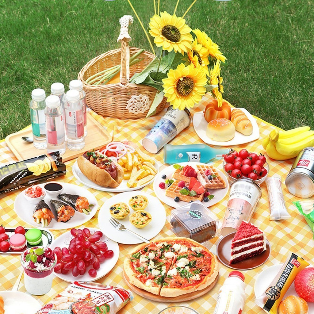 Thảm picnic thảm decor dã ngoại cao cấp chụp ảnh cực đẹp gấp gọn dễ dàng mang theo