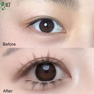 Hàng mi cá nhân 10-12mm Hiệu ứng 3D Lash riêng lẻ