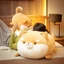 【Bingo】Đồ chơi nhồi bông mô phỏng búp bê cún con dễ thương mềm mại Búp bê chó Shiba Inu co giãn tốt, búp bê gối ngủ hình thú, quà sinh nhật thú vị (0302)