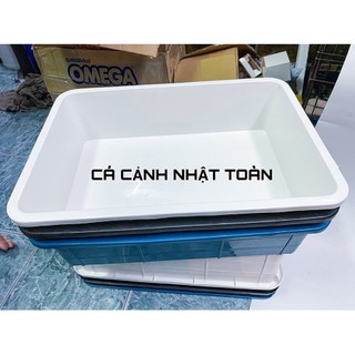 Khay nhựa nuôi cá 16 lít (50x35x13cm)