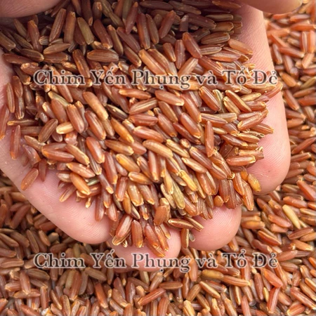 1kg gạo đỏ huyết rồng (gạo lứt huyết rồng)