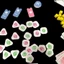 Boardgame Moon Adventure Phiêu lưu mặt trăng Tigar