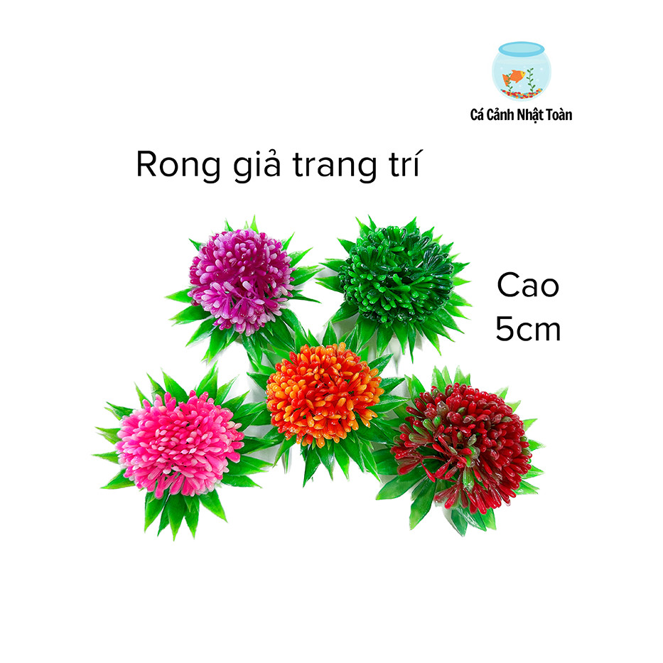 Bụi Rong Giả Đủ Màu Trang Trí Bể Cá Cảnh Cao 5cm (Mẫu Ngẫu Nhiên)