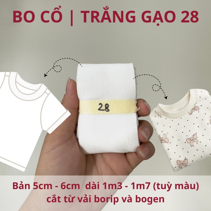 số 28