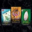 Boardgame thẻ bài Dungeon Mayhem Dragons và mở rộng, Monster Madness cardgame Tigar