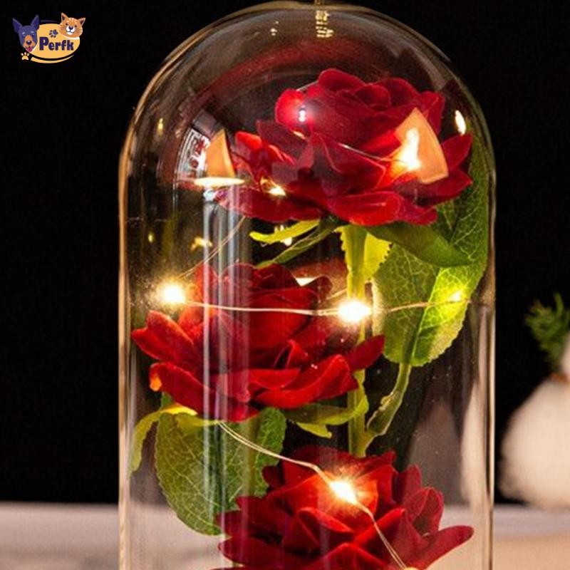 Hoa hồng Perfk trong vòm kính Quà tặng lãng mạn Sắp xếp cho đám cưới Ngày lễ tình nhân Trang trí kỷ niệm Giáng sinh