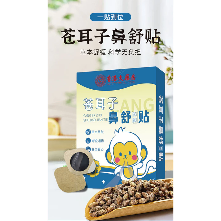 Screen Protector – 6