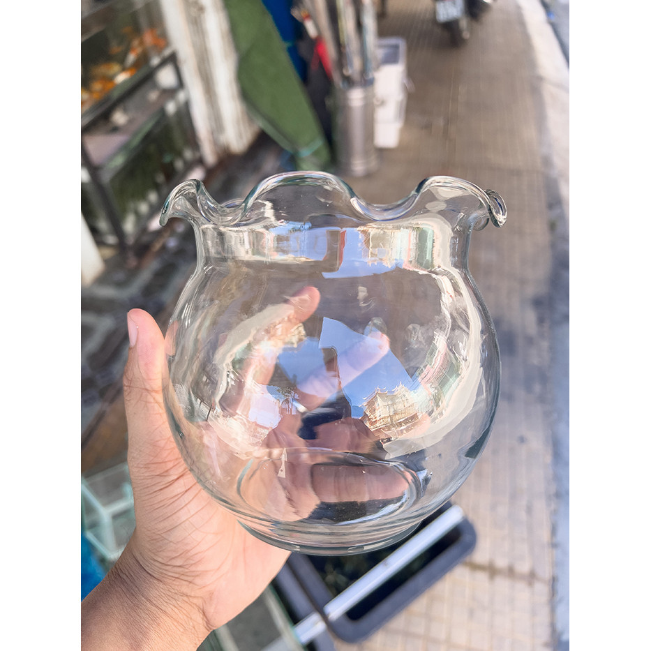 Chậu Thủy Tinh Tròn Mini Cao 13cm, Đường Kính 13cm