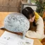 YUJUNI Blob Seal Gối, Mềm Mại Dễ Thương Cói Đồ Chơi Sang Trọng, Hợp Thời Trang PP Cotton Mũm mĩm Thú Nhồi Bông Lớn Đồ Chơi Sang Trọng Trẻ Em