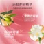 Solid Lip Glaze Lip Essence Lip Gloss Lip Gloss Long-Lasting Non-Stick Cup Novice All-Match Lipstick