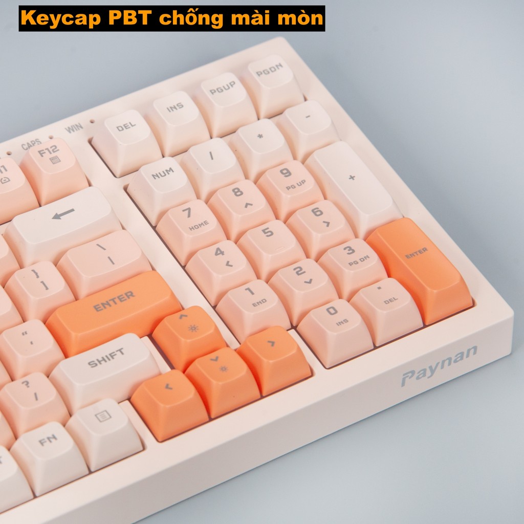 Bàn phím văn phòng P5 Paynan Peachy chống ồn kết nối cáp rời 98 phím đèn led trắng  keycap màu cổ điển | BigBuy360 - bigbuy360.vn