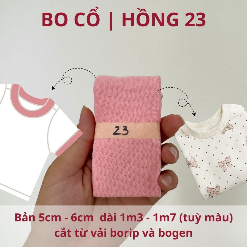 số 23