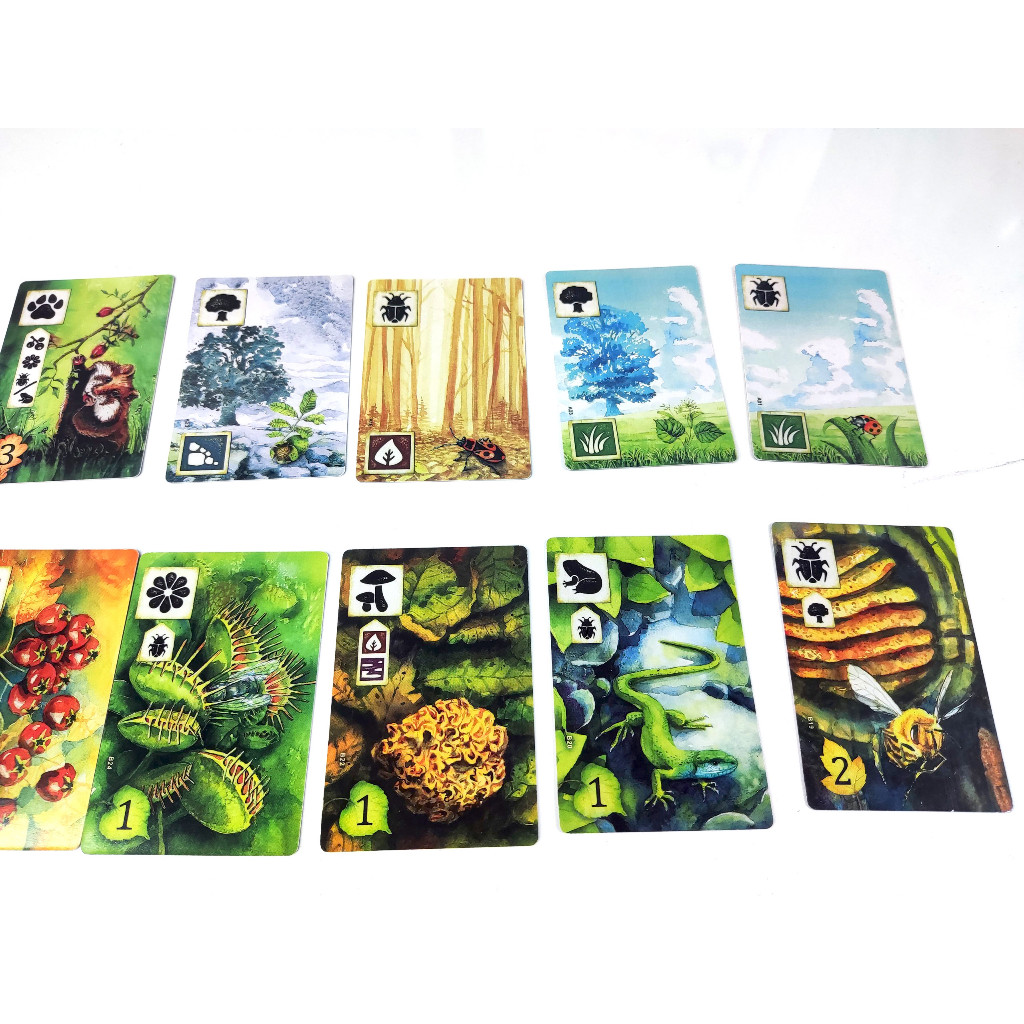 Boardgame Meadow - game art đẹp về tự nhiên hoa cỏ cây lá chim thú Tigar