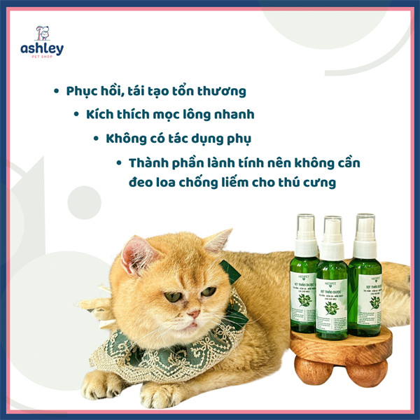 Xịt ngứa nấm chó mèo chiết xuất thiên nhiên MEDIPET nấm, viêm da, ve rận cho chó mèo an toàn lành tính