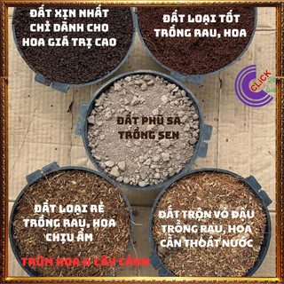 2ký ĐẤT TRỒNG HOA XỊN TRỒNG MỸ KÉP ️🔖Siêu Thị Hoa