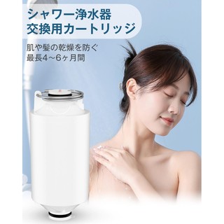 Greeshow GS-2835 Shower Water Purification Cartridge - Chlorine Removal Replacement Filter