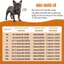 【PET HOUSE】Thời Trang Hợp Kim Vòng Cổ Cho Mèo Đầy Đá Quý Vòng Cổ Cho Chó Mèo Mạ Vàng Vòng Cổ Cho Chó