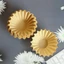 GAVESTO 50 Giấy Lọc Cà Phê, Cà Phê Pha Tay 45mm / 50mm Bột Bát Lọc, Hình Bát Nhỏ Giọt Mẫu Sóng Giấy Lọc Bánh Lọc Cà Phê