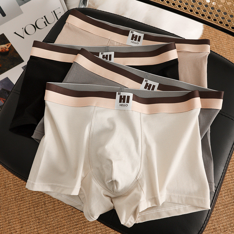 Ảnh Ecmn Nam Morandi Màu Quần Short Boxers Kháng Khuẩn Đáy Quần Lót Thoáng Khí Mềm Mại Và Thân Thiện Với Da Liền Mạch Plus Kích Thước Quần Lót 3