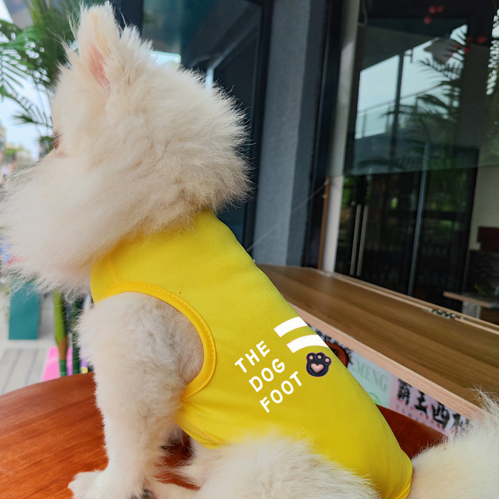 ✨ Hàng MỚI ✨ S-2xl Áo Vest Chó Họa Tiết Văn Bản Thời Trang Mèo / Chó In Hình Thoáng Khí Top