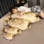 Gối đệm EDIWANY Blob, Đồ chơi sang trọng có con dấu mềm mại dễ thương, Quà tặng Cotton PP cỡ lớn hợp thời trang cho bé trai bé gái Trẻ em