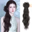 DELMER Móng Vuốt Kẹp Tóc Giả Đuôi Ngựa, Phong Cách Cổ Cổ Thấp Đuôi Ngựa Tóc Giả Phong Cách Mới, Hợp Thời Trang Hanfu Nhẹ Nhàng Đuôi Ngựa Xoăn Dài Tự Nhiên Cho Nữ