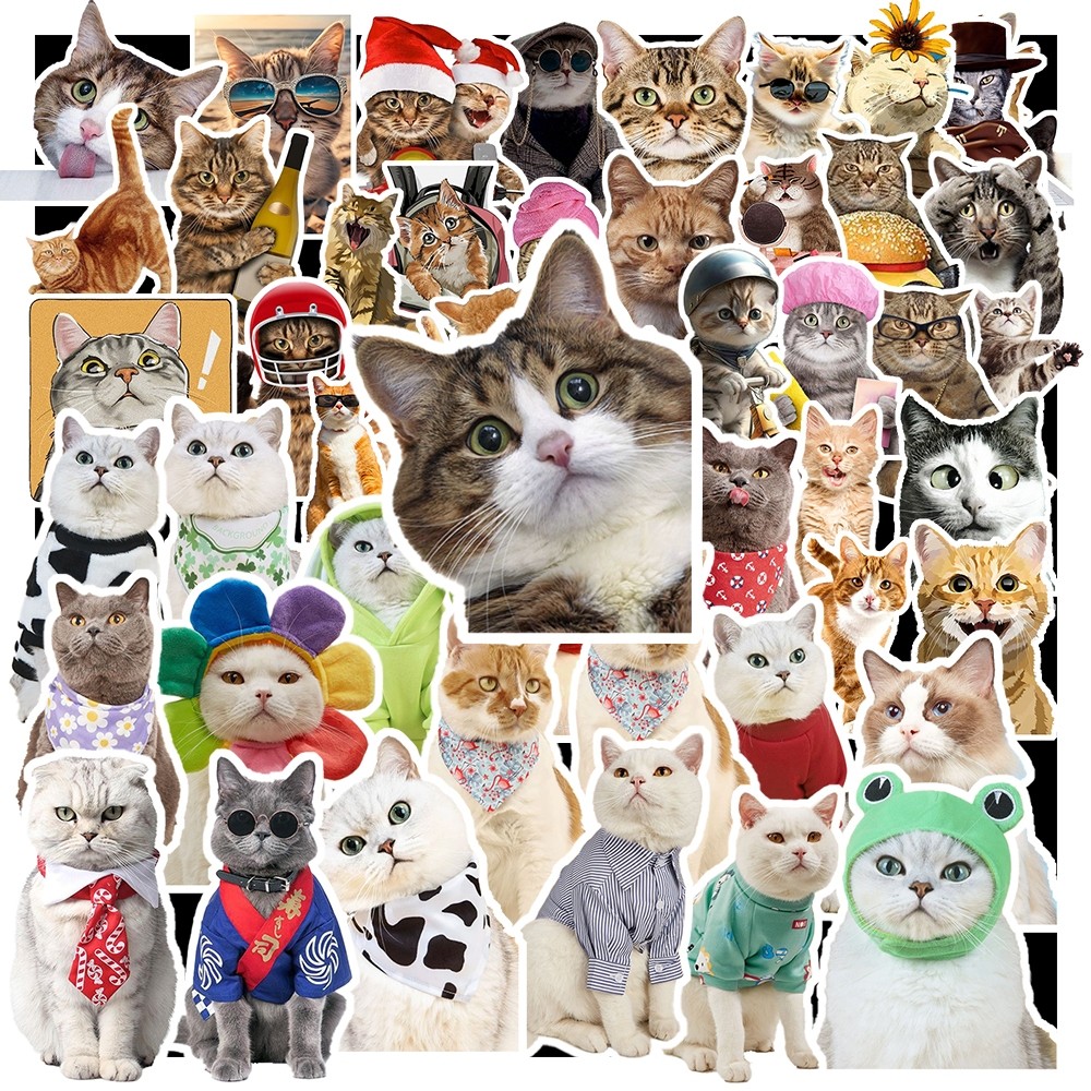 Set 50 Sticker Mèo  – Decal Trang Trí Đa Năng | Chống Nước | Dán Sổ Tay, Laptop, Mũ Bảo Hiểm