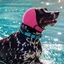 FUHUIOT Dog Calming Earmuff, Bảo vệ thính giác Giảm tiếng ồn Vỏ tai chó, Có thể điều chỉnh cách âm Chống nước chống ồn Tai nghe cho chó Thunder