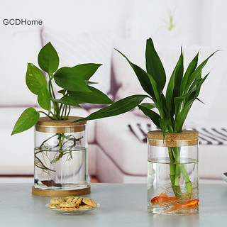 Gcdhome Chậu hoa trong suốt Thủy tinh giả Chậu hoa không đất Bình hoa nhà HOT