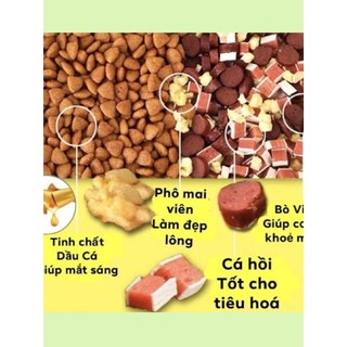 Hạt cho chó captian 5kg ( Mix Bò, Cá, Phô mai ) Phù hợp cho mọi độ tuổi, mọi giống chó